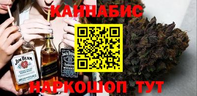 шишки Кингисепп