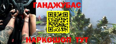 шишки Кингисепп