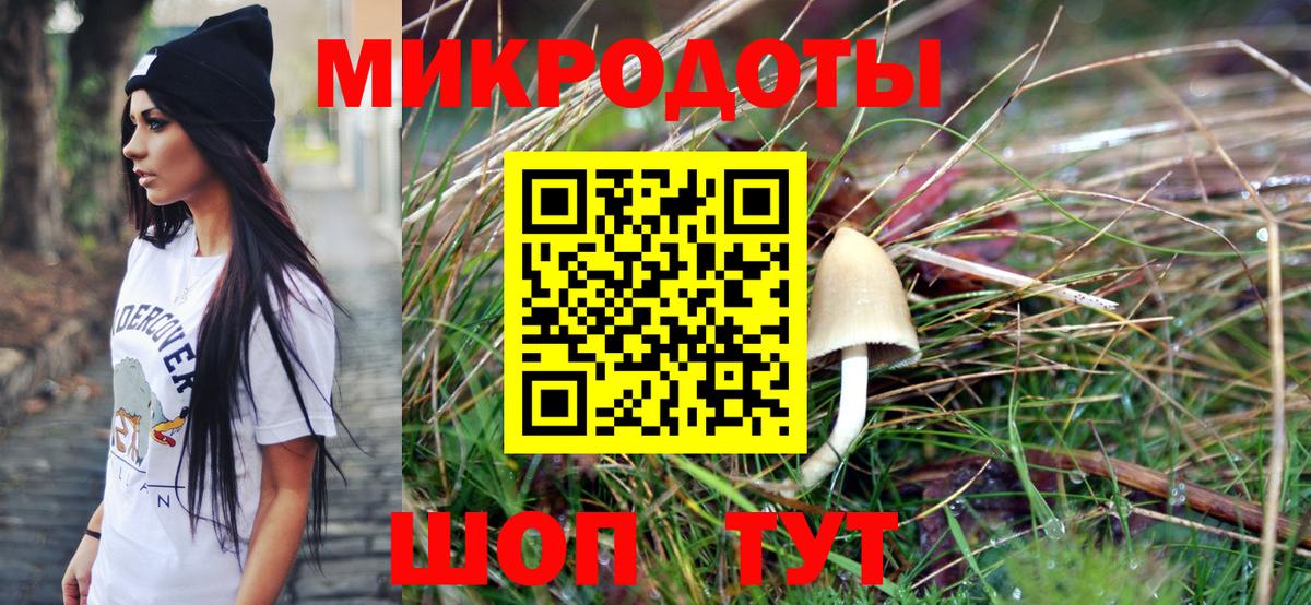 Галлюциногенные грибы Cubensis  Вход с VPN  Псилоцибиновые грибы Psilocybine cubensis  Красноармейск 